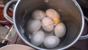 ゆで卵が盛大に破裂した。